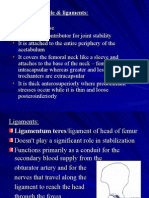 Hip Joint Capsule & Ligaments