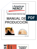 Manual Pae 2002