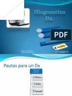 DX 04