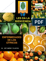 Cítricos Enfermedades Congreso