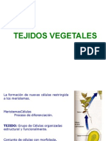 1.2 Tejidos Vegetales