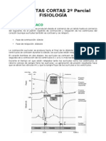 PREGUNTAS CORTAS 2º Parcial FISIOLOGÍA