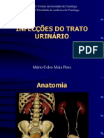 Infecções Do Trato Urinário