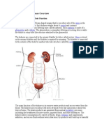 Chronic Kidney Disease Overview