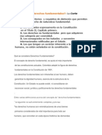 Derechos Contitucionales