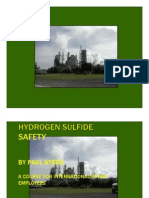 H2S PDF