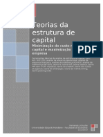 Tema 4 Teorias Da Estrutura de Capital