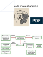 Síndrome de Mala Absorción
