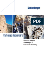 Carbonate Reservoirs