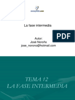 Fase Intermedia Procedimiento Procesal Penal Venezolano