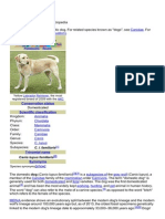 Domestic Dog: Navigation Search Canidae Dog (Disambiguation)