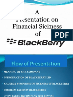 Blackberry Presentation