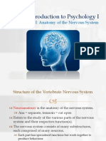 Biopsychology I - Anatomy of The Nervous System PDF