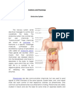 Anatomy and Physiology With