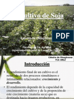 Cultivo de Soja