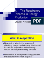 7.1 Respiratory Process in Energy Production