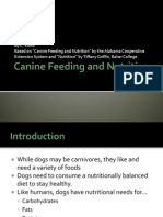 Canine Feeding and Nutrition