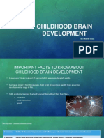 Childhood Brain Development