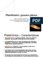 Phylum Platelmintos