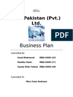 SKF Pakistan (PVT.) LTD.: Business Plan