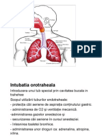 Intubatia Orotraheala IOT