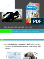 2 - Regulação Nervosa e Hormonal Nos Animais (Transmissão Do Impulso Nervoso)