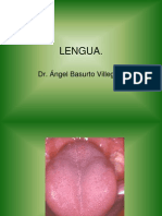 Lengua