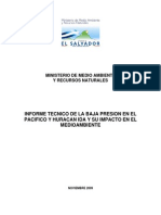 Informe Tormenta Ida