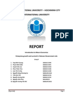 Introduction To Macro Economics Topic: Enterprise Growth and Survival in Vietnam-Government Role