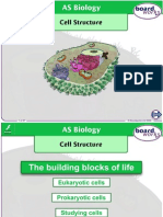 Cell Structure