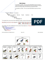 Bird Order Chart