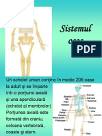 Sistemul Osos