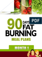 90 Days of Fat Burning