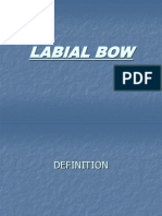 Labial Bow