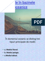 Mediile În Bazinele Oceanice