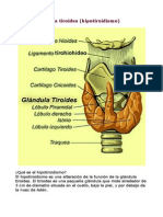 Problemas Con La Tiroides