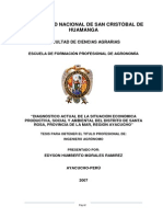 Tesis Completa Coca PDF