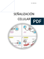 Tema 5 Principios de SEÑALIZACIÓN CELULAR