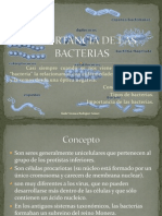 Importancia de Las Bacterias