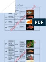 Enfermedades de Los Peces de Agua Dulce