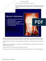 Musculos Del Abdomen PDF