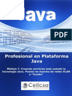 Java Modulo 7