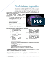 Citosol e Inclusiones Citoplasmáticas