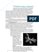 Dominio Archaea y Bacteria