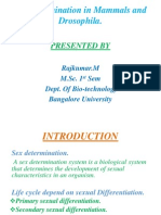 Sex Determination in Mammals and Drosophila