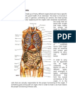 Basic Human Anatomy