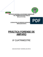 Pràctica Forense de Amparo