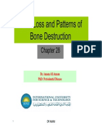 Bone Loss and Patterns of Bone Destruction