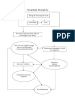 Psychopathology of Schizophrenia