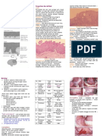 Neoplasma RM